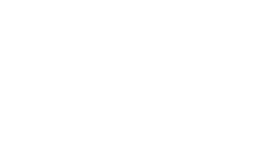 PartySkin